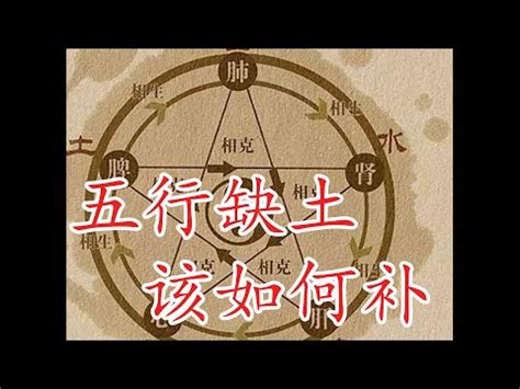 八字五行缺土|【缺土怎麼補】瞭解五行缺土：必看補救方法和性格特。